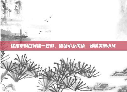 保定市到白洋淀一日游，体验水乡风情，畅游美丽水域
