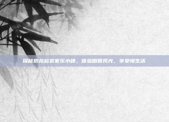探秘抱龙峪农家乐小峰，体验田园风光，享受慢生活