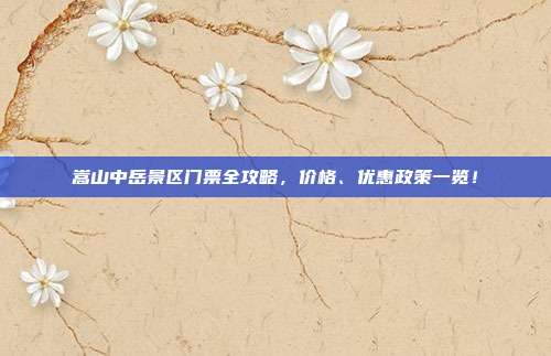 嵩山中岳景区门票全攻略，价格、优惠政策一览！