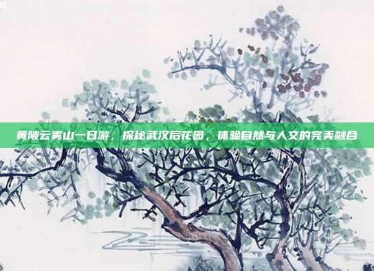 黄陂云雾山一日游，探秘武汉后花园，体验自然与人文的完美融合