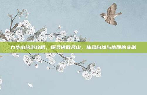 九华山旅游攻略，探寻佛教名山，体验自然与信仰的交融