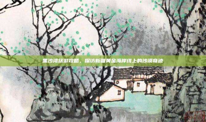黑沙湾旅游攻略，探访新疆黄金海岸线上的沙漠奇迹