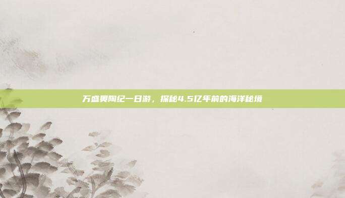 万盛奥陶纪一日游，探秘4.5亿年前的海洋秘境