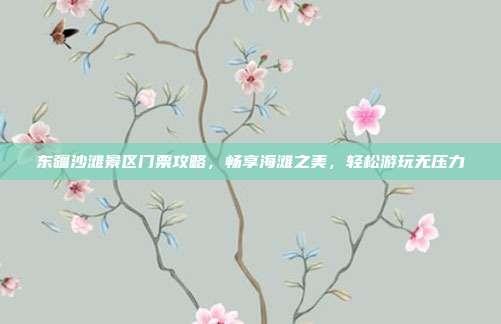 东疆沙滩景区门票攻略，畅享海滩之美，轻松游玩无压力