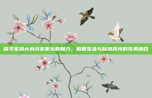 探寻宝鸡大水川农家乐的魅力，田园生活与自然风光的完美融合