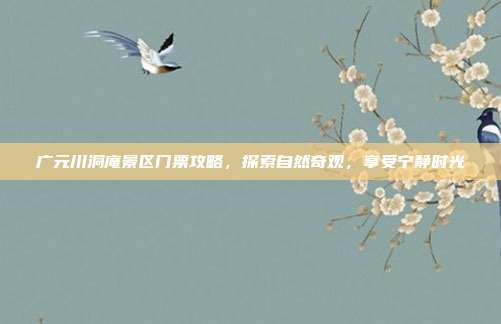 广元川洞庵景区门票攻略，探索自然奇观，享受宁静时光