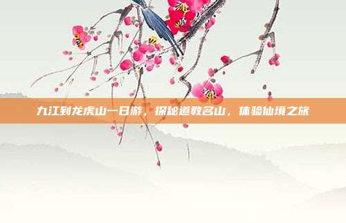 九江到龙虎山一日游，探秘道教名山，体验仙境之旅
