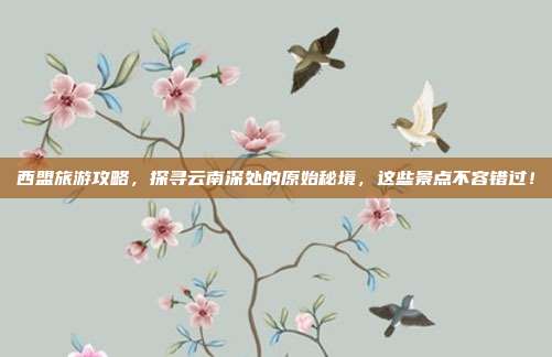 西盟旅游攻略，探寻云南深处的原始秘境，这些景点不容错过！