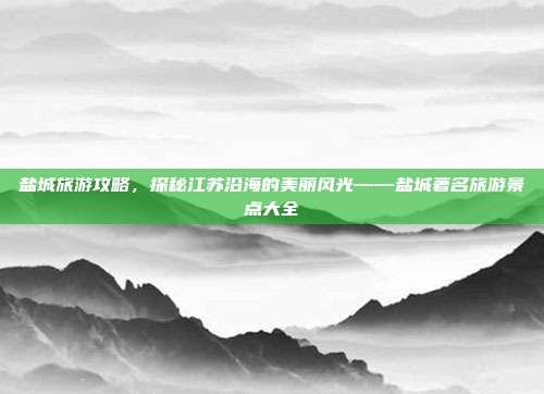 盐城旅游攻略，探秘江苏沿海的美丽风光——盐城著名旅游景点大全