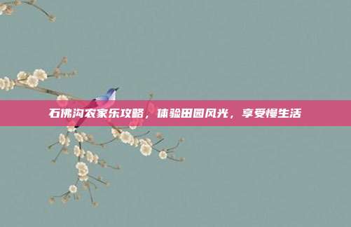 石佛沟农家乐攻略，体验田园风光，享受慢生活