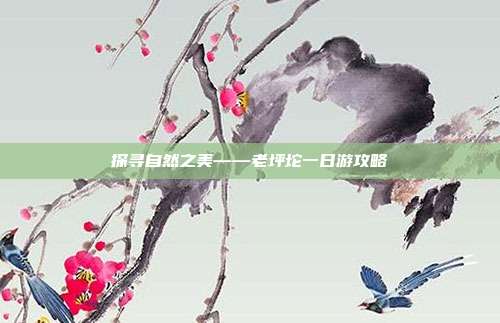 探寻自然之美——老坪坨一日游攻略