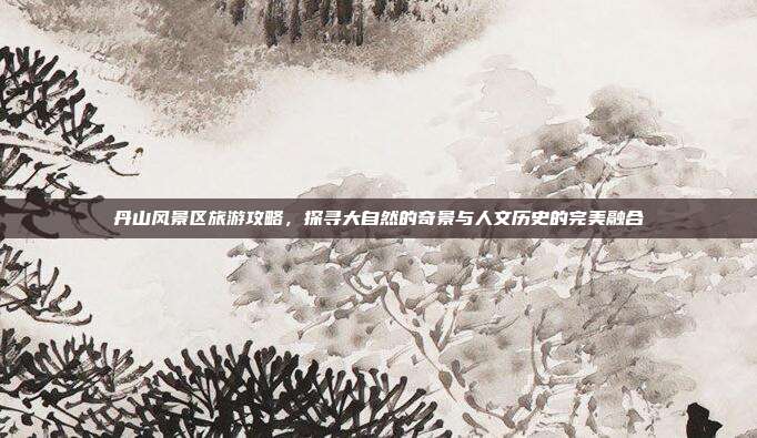 丹山风景区旅游攻略，探寻大自然的奇景与人文历史的完美融合