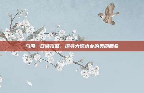 乌海一日游攻略，探寻大漠水乡的美丽画卷