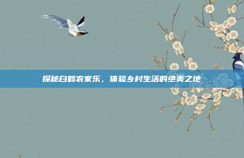 探秘白鹤农家乐，体验乡村生活的绝美之地