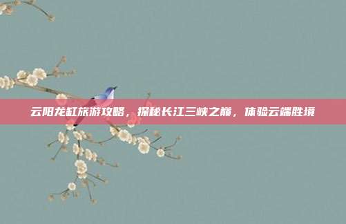 云阳龙缸旅游攻略，探秘长江三峡之巅，体验云端胜境