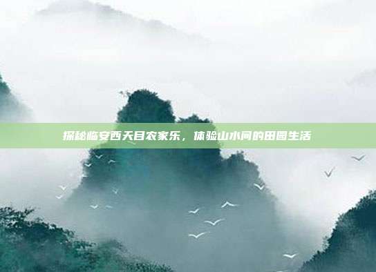 探秘临安西天目农家乐，体验山水间的田园生活