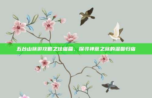 五台山旅游攻略之住宿篇，探寻禅意之旅的温馨归宿