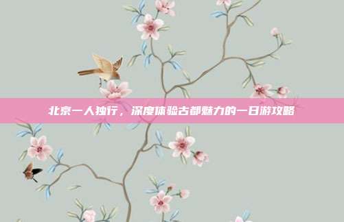 北京一人独行，深度体验古都魅力的一日游攻略