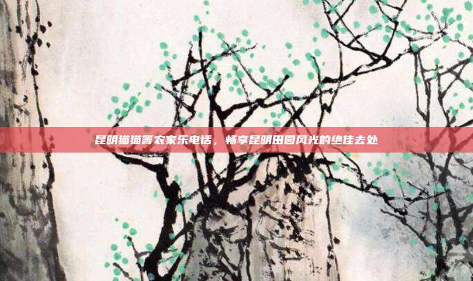 昆明猫猫箐农家乐电话，畅享昆明田园风光的绝佳去处