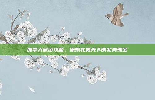 加拿大旅游攻略，探索北极光下的北美瑰宝