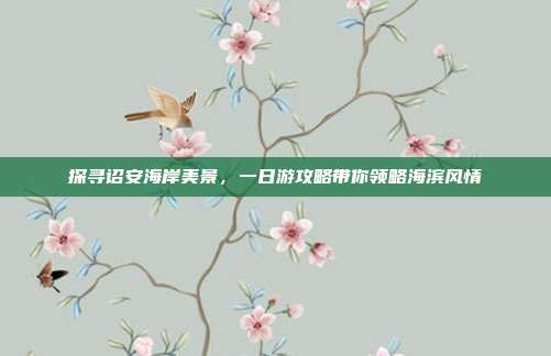 探寻诏安海岸美景，一日游攻略带你领略海滨风情
