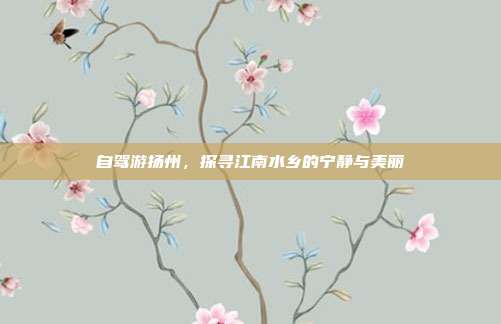 自驾游扬州，探寻江南水乡的宁静与美丽