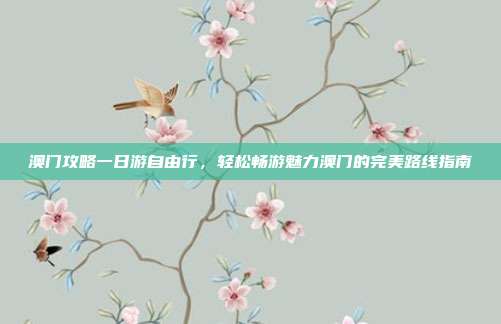 澳门攻略一日游自由行，轻松畅游魅力澳门的完美路线指南
