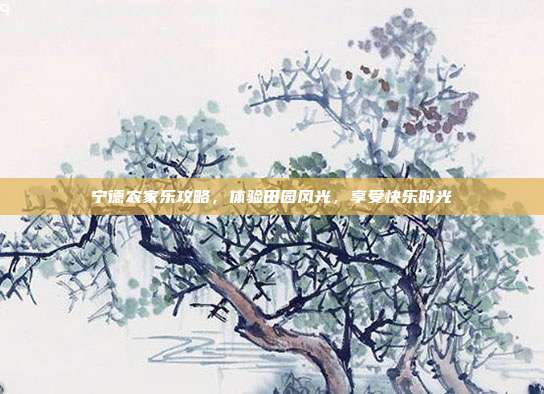 宁德农家乐攻略，体验田园风光，享受快乐时光