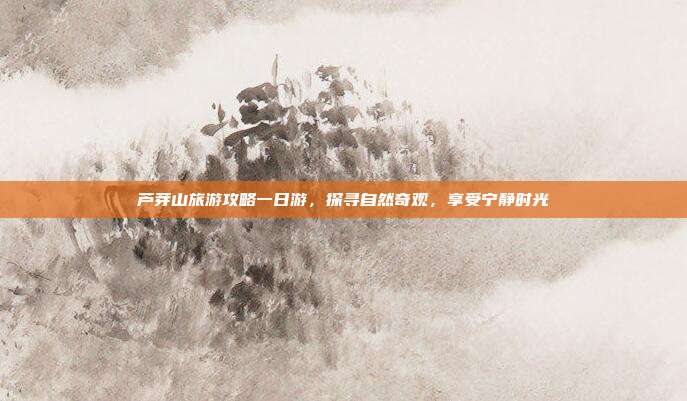 芦芽山旅游攻略一日游，探寻自然奇观，享受宁静时光