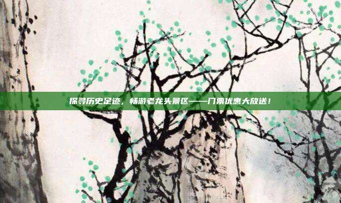 探寻历史足迹，畅游老龙头景区——门票优惠大放送！