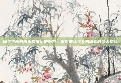 探寻华西村附近农家乐的魅力，田园生活与乡村体验的完美结合
