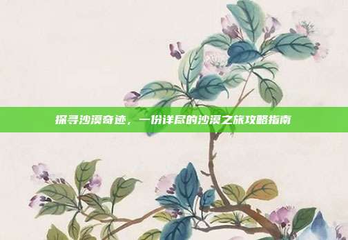 探寻沙漠奇迹，一份详尽的沙漠之旅攻略指南