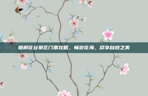 梧桐花谷景区门票攻略，畅游花海，尽享自然之美