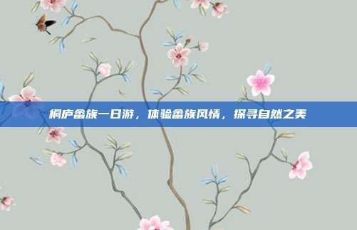 桐庐畲族一日游，体验畲族风情，探寻自然之美