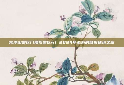 梵净山景区门票仅需6元！2024年必游的低价秘境之旅
