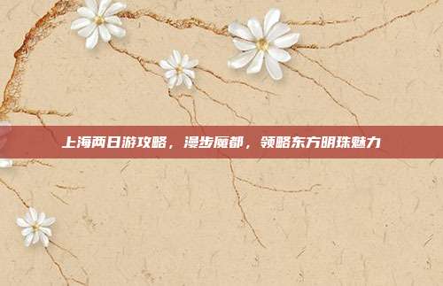 上海两日游攻略，漫步魔都，领略东方明珠魅力
