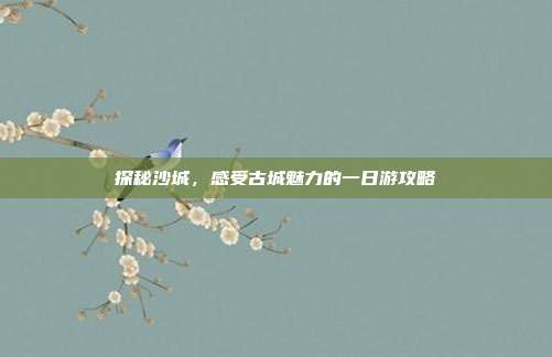 探秘沙城，感受古城魅力的一日游攻略