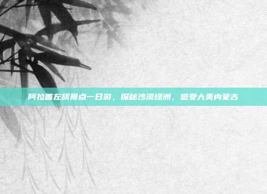 阿拉善左旗景点一日游，探秘沙漠绿洲，感受大美内蒙古