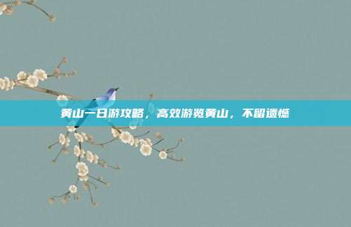 黄山一日游攻略，高效游览黄山，不留遗憾