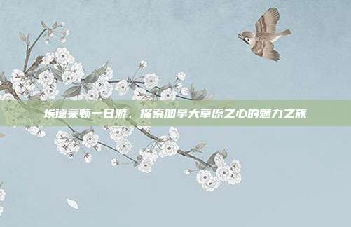 埃德蒙顿一日游，探索加拿大草原之心的魅力之旅