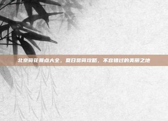 北京荷花景点大全，夏日赏荷攻略，不容错过的美丽之地