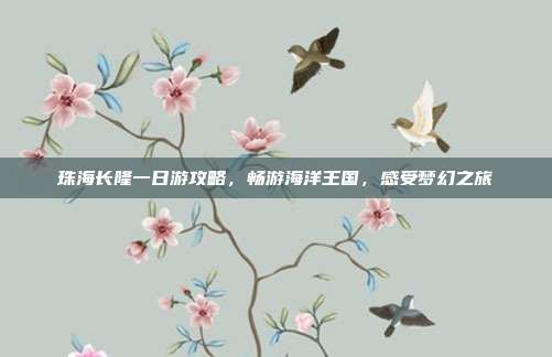 珠海长隆一日游攻略，畅游海洋王国，感受梦幻之旅