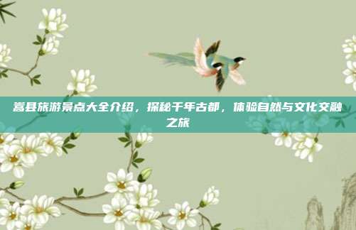 嵩县旅游景点大全介绍，探秘千年古都，体验自然与文化交融之旅