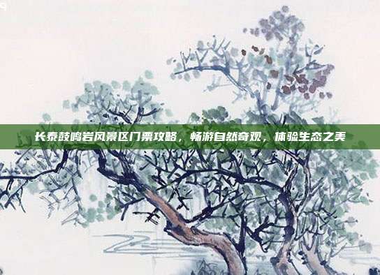 长泰鼓鸣岩风景区门票攻略，畅游自然奇观，体验生态之美