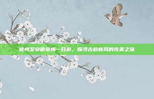 徐州至安徽亳州一日游，探寻古韵新风的完美之旅