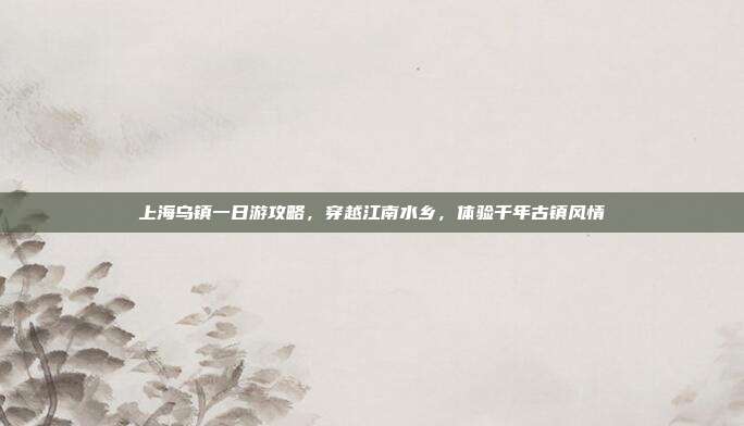 上海乌镇一日游攻略，穿越江南水乡，体验千年古镇风情