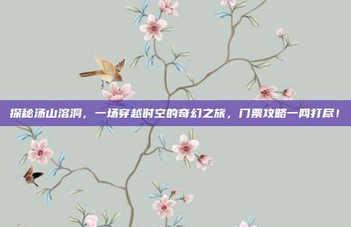 探秘汤山溶洞，一场穿越时空的奇幻之旅，门票攻略一网打尽！