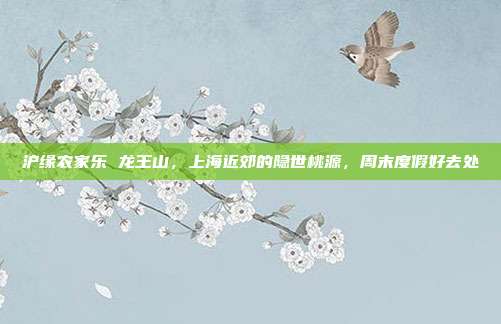 沪缘农家乐 龙王山，上海近郊的隐世桃源，周末度假好去处