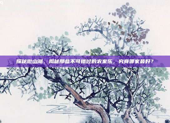探秘微山湖，揭秘那些不可错过的农家乐，究竟哪家最好？