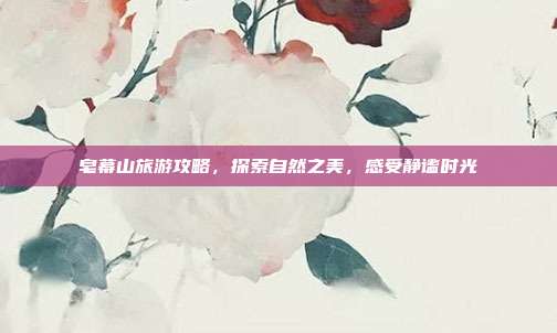 皂幕山旅游攻略，探索自然之美，感受静谧时光